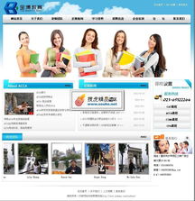 精品教育咨詢門(mén)戶解決方案 從源碼到服務(wù)的專業(yè)構(gòu)建