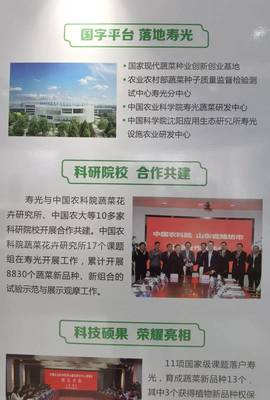 院士來了，國字號科研院所也來了——生態環境高水平保護推動經濟高質量發展看濰坊見聞