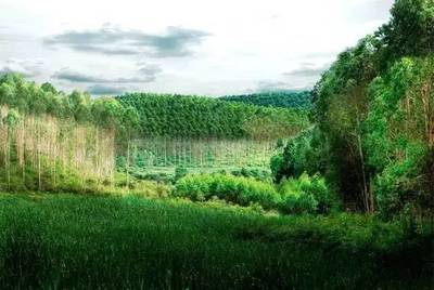 芬蘭知名環保材料企業在中國市場的戰略布局與前景分析